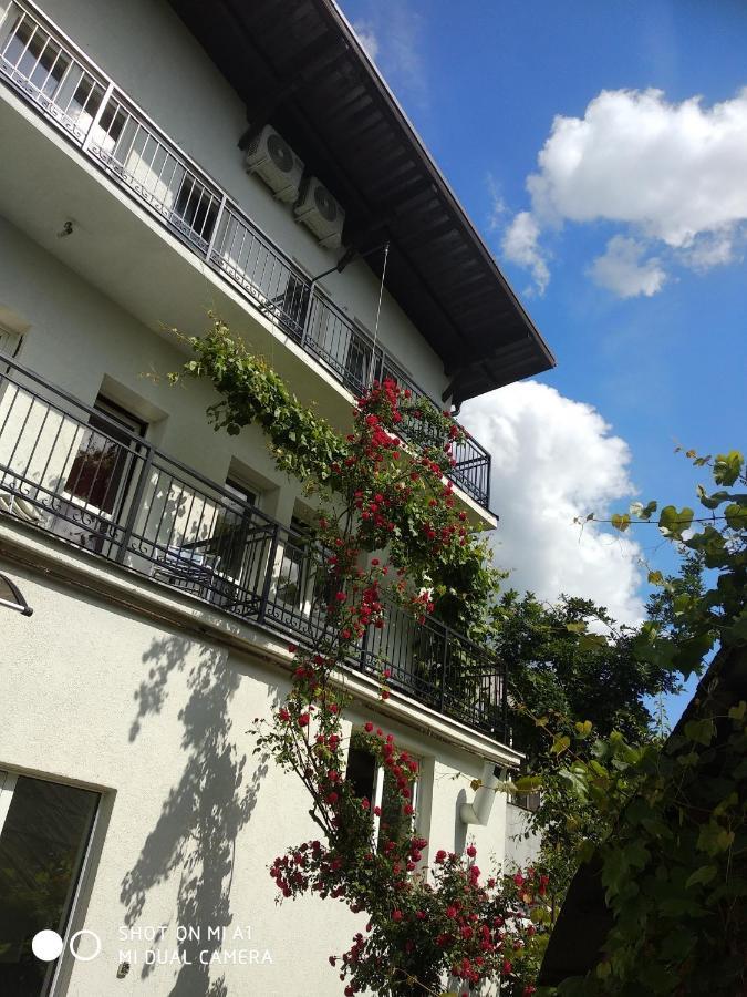Casa Romaneasca Curtea de Argeş Екстериор снимка
